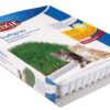Trixie Cat Grass Seeds with Plastic Planter for Kittens and Trixie Cat Grass Seeds with Plastic Planter for Kittens and All Cats, Soft, Vitamin-Rich, Easy Grow, Nutritious & Natural, Supports Health & Digestion, 100 g
