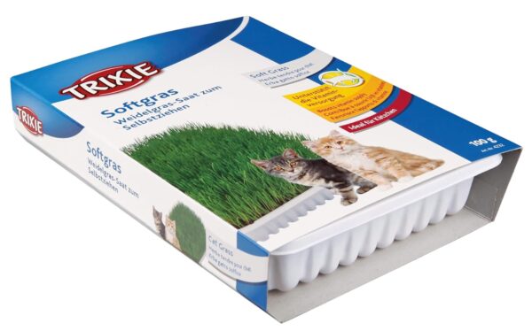 Trixie Cat Grass Seeds with Plastic Planter for Kittens and Trixie Cat Grass Seeds with Plastic Planter for Kittens and All Cats, Soft, Vitamin-Rich, Easy Grow, Nutritious & Natural, Supports Health & Digestion, 100 g