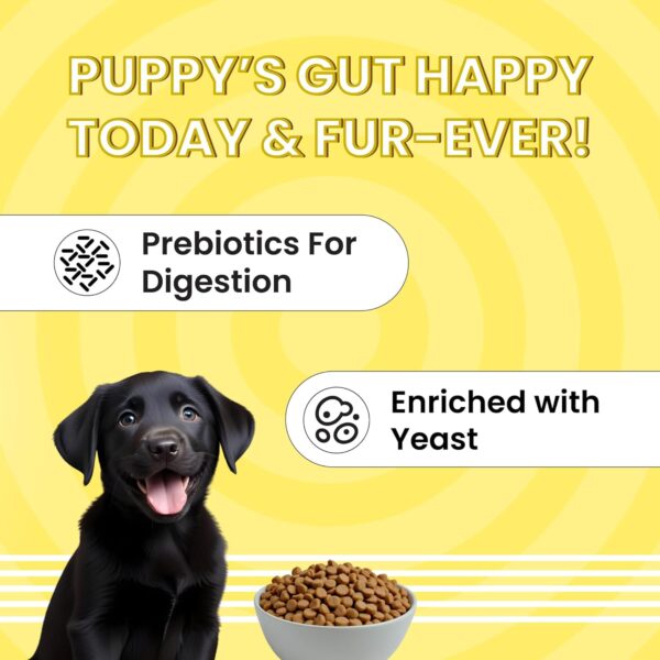 71BCSN1xJDL._SL1500_.jpg BARK OUT LOUD Essentials Puppy Food | Chicken & Egg High Protein | Added Taurine- Fish Oil | No Preservative - Gluten Free Kibbles for Puppy -1kg