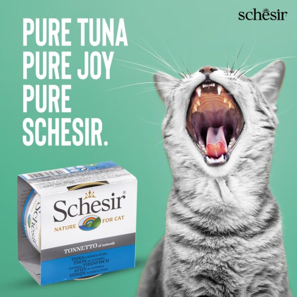 71BJnZfq6sL._SL1500_.jpg Schesir Tuna Natural Style Cat Wet Food – Premium High-Protein Tuna Fillets, 85g 100% Natural, Grain-Free, Omega-Rich Nutrition(Pack of 3)