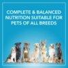 71BP9MW-AGL._SL1500_.jpg Purepet Adult Dry Dog Food,Chicken and Vegetable Flavor 1Kg Pack