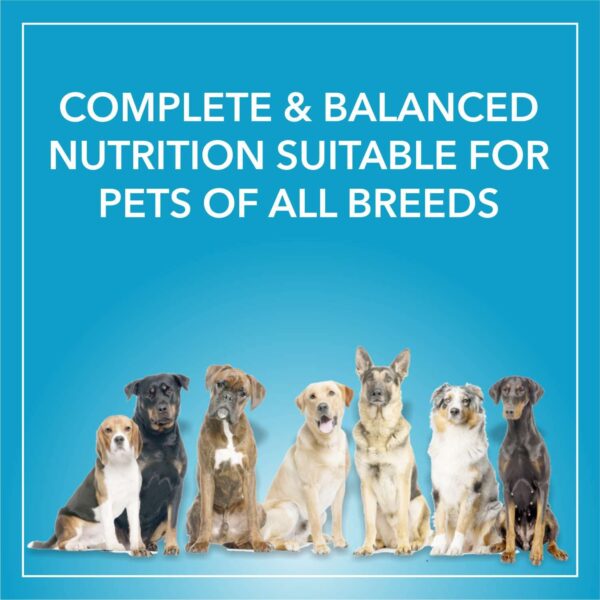 71BP9MW-AGL._SL1500_.jpg Purepet Adult Dry Dog Food,Chicken and Vegetable Flavor 1Kg Pack