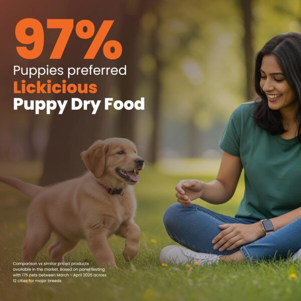 71BVdHbz9AL._SL1500_.jpg Dry Dog Food Puppy 1kg | High Protein Chicken, Rice, Egg, Milk | 39 Essential Nutrients | Healthy Skin Shiny Coat, Strong Bone & Muscles | Complete Balanced Pure Pet Food for Pedigree Dogs