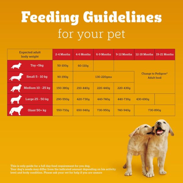 Pedigree Puppy Dry Dog Food, Chicken & Milk, 20 kg, Contains 37 Essential Nutrients, 100% Complete & Balanced Food for Puppies