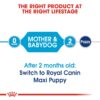 Royal Canin Maxi Starter, Mother & Babydog Food, 1 Kg, Dry Food, Supports Complex Natural Defence & digestive health, Provides Gestation/Lactation Support, Supports Easy rehydration