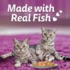 71D7iMZ3XEL._SL1100_.jpg Whiskas Tasty Mix Adult (1+ Year) Wet Cat Food, Chicken with Salmon Wakame Seaweed in Gravy, 70 g, Cat Food Made with Real Fish, Complete & Balanced Nutrition for Adult Cats