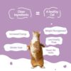 71DO12TW2sL._SL1500_.jpg BLEP Healthy Cat Food for Adult & Kittens | Slurpy Sardines | Zero Preservatives | Wet Cat Food | Complete Meal & Balanced | Travel Pack | 100g | 100g Pack of 1