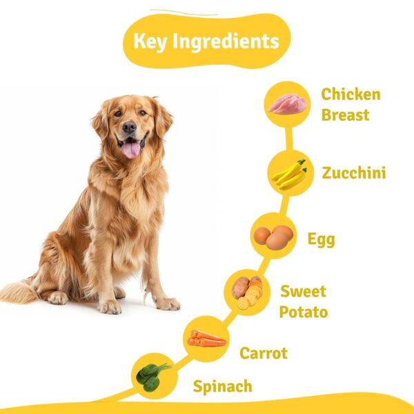 71DSYMl5D4L._SL1500_.jpg BLEP Healthy Dog Food for Adult & Puppies | Chicken Zucchini | Zero Preservatives | Wet Dog Food | Travel Packs | Complete Meal & Balanced Dog Food | 700g | 7 Packs of 100g