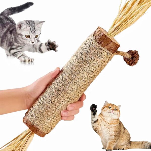 Sunkizzrs® Huge Silvervine Stick with Sisal Rope & Gall Fruit Sunkizzrs® Huge Silvervine Stick with Sisal Rope & Gall Fruit & Raffia Palm —Matatabi Stick for Cat Teeth Cleaning —Interactive CatnipToy Set —Chew & Scratch Toys for Aggressive Chewers (Φ3 x 38cm)