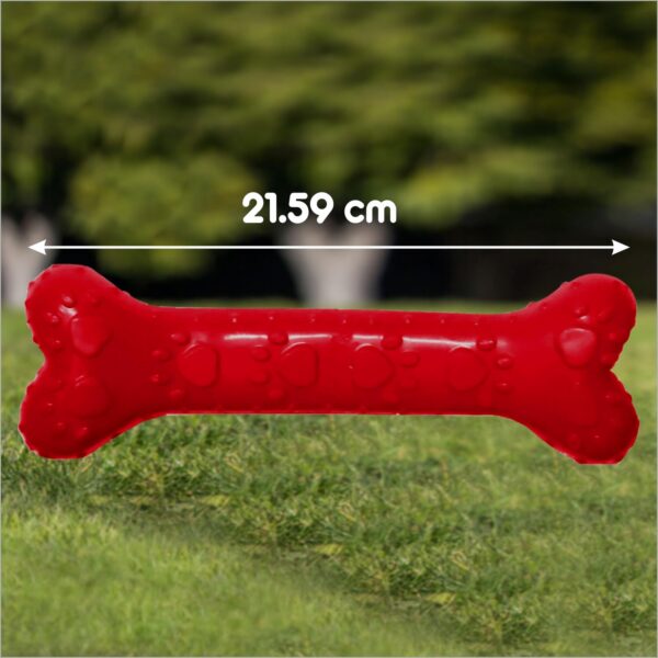 71E6PPGKlPL._SL1500_.jpg Drools Non-Toxic Rubber Toy for Dogs (Large) 21.59 cm Pack