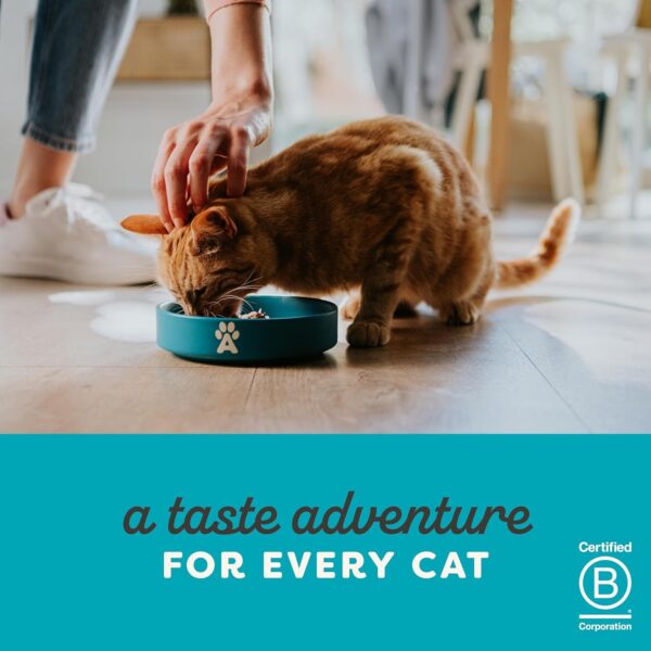 71EhWRDffFL._SL1500_.jpg Applaws Natural Premium Wet Cat Food for Adult Cats, Tuna Fillet with Whole Anchovy in Broth Pack of 4 x 70g Pouches