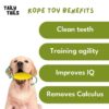 Corn & Bone Shape Dog Chew Toy, Natural Rubber Dog Teething Toy, Dog Toy for Entertainment and Dental Benefits, for All Breed Dogs and Puppies (Corn)