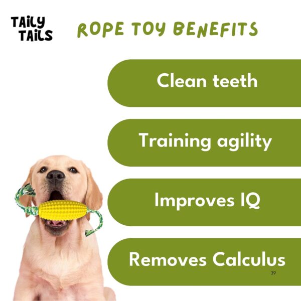 Corn & Bone Shape Dog Chew Toy, Natural Rubber Dog Teething Toy, Dog Toy for Entertainment and Dental Benefits, for All Breed Dogs and Puppies (Corn)