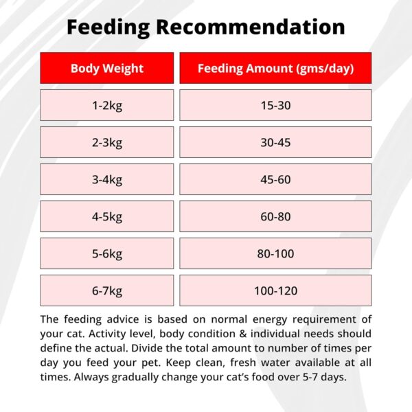 71ElJyV3z7L._SL1500_.jpg Luvin Artisanally Baked Premium Dry Cat Food - 1.5Kg | Cat & Kitten 6m+ | Digestive Care Optimal Growth Formula for All Life Stages