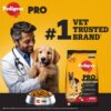 71Etyy0giL._SL1200_.jpg Pedigree PRO Adult Large Breed, 3 kg Dry Dog Food, Vet Trusted Brand, Expert Nutrition, Quality Protein, 33% More Nutrients (18 Months Onwards)