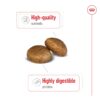 Royal Canin Maxi Adult Dog Food, 220 Grams, Dry Food, Supports Digestive Health & Optimal Health, Provides Bone & Joint Support