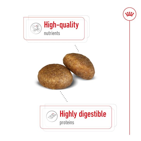 Royal Canin Maxi Adult Dog Food, 220 Grams, Dry Food, Supports Digestive Health & Optimal Health, Provides Bone & Joint Support