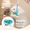 71FJhpBVSML._SL1500_.jpg Cat Chew Toy, Kitten Toys for Indoor Cats, Cat Toy Alligator-Shaped Plush Teething Toy with Catnip, Fun and Safe Cats Toys for Kittens