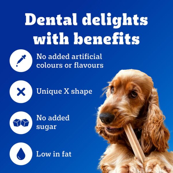 Pedigree Dentastix Oral Care Dog Treat, Adult Medium Breed (10-25 kg), 180 g, Recommended by Vets, Supports Gum Health, Reduces Risk of Gum diseases