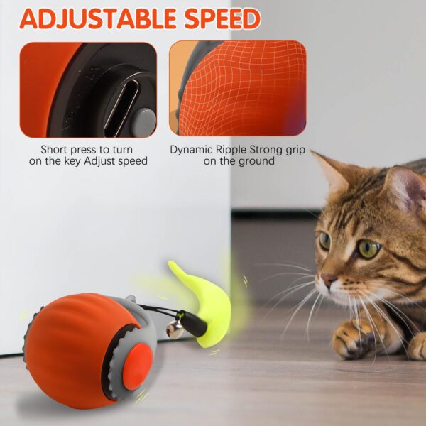 Speedy Tail 3.0, Upgraded Speedy Tail Cat Toy, Smart Interactive Cat Toy Balls, Interactive Cat Toys for Indoor Cats,Automatic Moving Smart Cat Toys Ball with Tail Two Speed Adjustment (Orange + Blue)