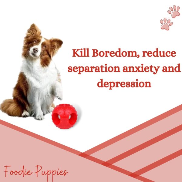 71FpH9LeihL._SL1500_.jpg Foodie Puppies Natural Rubber Flavored Hole Ball - 2.35inch/ 6cm | Suitable for Small to Medium Dogs and Puppies | Chewing, Teething, and Training Ball Toy