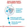 Royal Canin Giant Puppy Food, 1 Kg, Dry Food, Supports Immune System, Bone & Joint Health, Promotes Growth controlled Energy