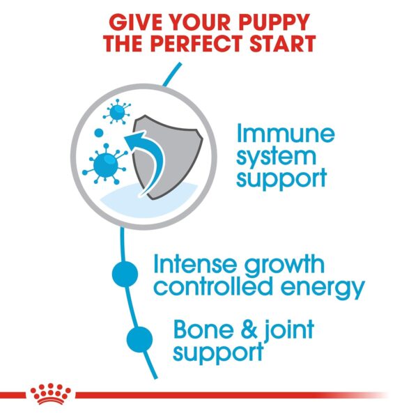 Royal Canin Giant Puppy Food, 1 Kg, Dry Food, Supports Immune System, Bone & Joint Health, Promotes Growth controlled Energy