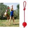 3 Pcs Durable Dog Ball with Rope - Interactive Dog Toys for Large Dogs and Puppies, Tough Dog Rope Toy for Fetch, Tug of War and Teeth Cleaning