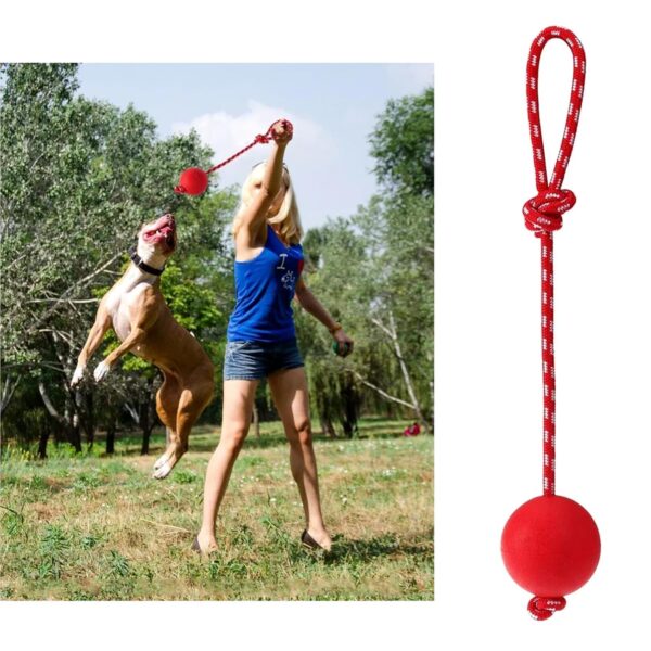 3 Pcs Durable Dog Ball with Rope - Interactive Dog Toys for Large Dogs and Puppies, Tough Dog Rope Toy for Fetch, Tug of War and Teeth Cleaning