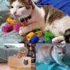 8 Pcs Interactive Cat Toys - Durable Plastic Coils, Colorful Springs For Indoor Cats - Active Play For Swatting, Biting, Hunting