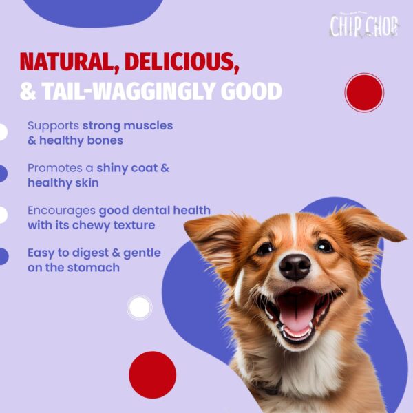 Chip Chops Chicken & Codfish Sandwich Dog Treats | Nutritious, High Protein, Easily Digestible Snack for Dogs | Healthy Fish & Chicken Treat for All Breeds, 70 gm