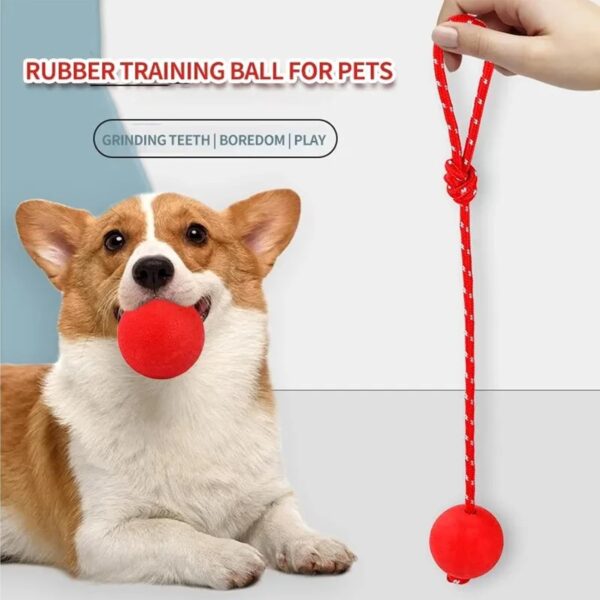 3 Pcs Durable Dog Ball with Rope - Interactive Dog Toys for Large Dogs and Puppies, Tough Dog Rope Toy for Fetch, Tug of War and Teeth Cleaning