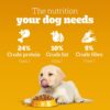Pedigree Puppy Dry Dog Food, Chicken & Milk, 20 kg, Contains 37 Essential Nutrients, 100% Complete & Balanced Food for Puppies