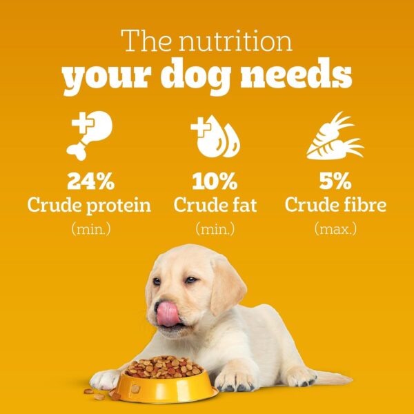 Pedigree Puppy Dry Dog Food, Chicken & Milk, 20 kg, Contains 37 Essential Nutrients, 100% Complete & Balanced Food for Puppies