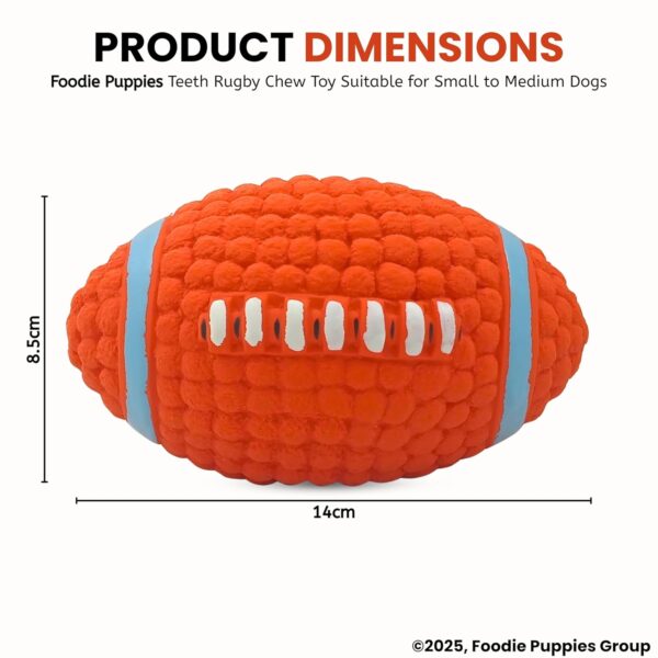 Foodie Puppies Interactive Latex Squeaky Chew Toy for Small to Medium Dogs (Teeth Rugby - Large) | Durable, Non-Toxic, Soft, Floating, Bouncing Pet Toy I Reduce Separation Anxiety (Design May Vary)