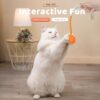 71Hm7iVoOOL._SL1500_.jpg Cat Chew Toy, Kitten Toys for Indoor Cats, Cat Toy Alligator-Shaped Plush Teething Toy with Catnip, Fun and Safe Cats Toys for Kittens