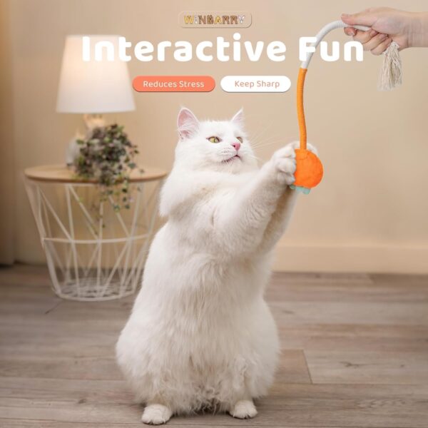 71Hm7iVoOOL._SL1500_.jpg Cat Chew Toy, Kitten Toys for Indoor Cats, Cat Toy Alligator-Shaped Plush Teething Toy with Catnip, Fun and Safe Cats Toys for Kittens
