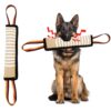 Dog Toys, Interactive Dog Toys Leather Bite Rag, Durable Dog Bite Tug Toy for Puppy, Teeth Cleaning and Training(11.8 * 2.8in)
