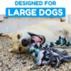 71IKaZuGnXL._SL1000_.jpg Foodie Puppies Cotton Chew Rope Dog Toy Large with 6 Knot Thick Chew, Long for Aggressive chewers - Extra Durable - Heavy Duty - Washable (Color May Vary)