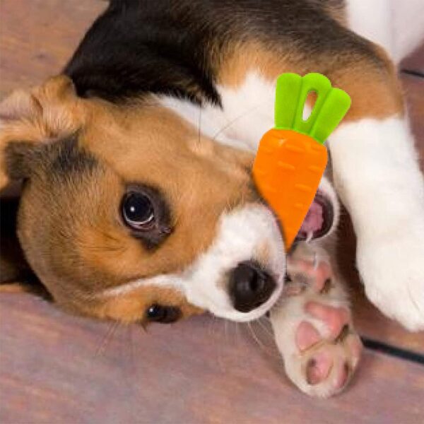 71IhqjQ6aZL._SL1500_.jpg RvPaws Veggie Series Carrot Squeaky Chew Toys for Dogs & Puppies| Medium & Large Breeds (Orange)
