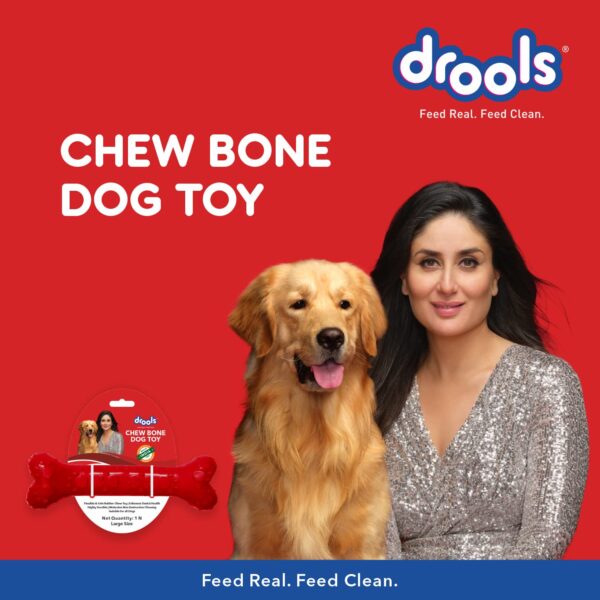 71Iisxx-8dL._SL1500_.jpg Drools Non-Toxic Rubber Toy for Dogs (Large) 21.59 cm Pack