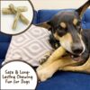 Goofy Tails Coffee Wood Dog Toys| Splinter Free, Caffeine Free, Dog Chew Toys | Natural, Safe Puppy Toy | Dental Care Toy for Dogs & Puppies | Small, 1 Piece
