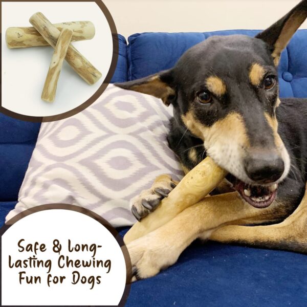 Goofy Tails Coffee Wood Dog Toys| Splinter Free, Caffeine Free, Dog Chew Toys | Natural, Safe Puppy Toy | Dental Care Toy for Dogs & Puppies | Small, 1 Piece