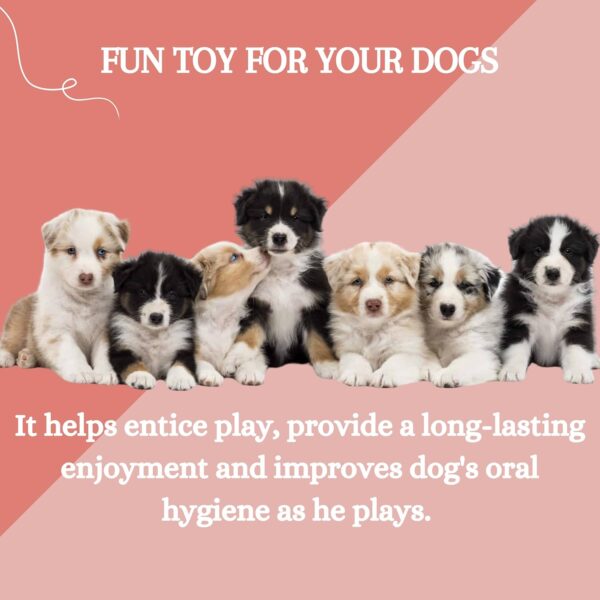 71JWMyORBVL._SL1500_.jpg Foodie Puppies Natural Rubber Flavored Hole Ball - 2.35inch/ 6cm | Suitable for Small to Medium Dogs and Puppies | Chewing, Teething, and Training Ball Toy