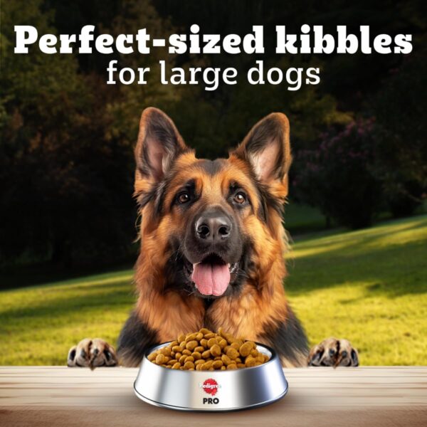 71JwMFVfeNL._SL1200_.jpg Pedigree PRO Adult Large Breed, 3 kg Dry Dog Food, Vet Trusted Brand, Expert Nutrition, Quality Protein, 33% More Nutrients (18 Months Onwards)