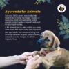 71KRRpKxF6L._SL1201_.jpg FUR BALL STORY Wag Boost Pet Food Topper 100g | Taste Enhancer & Nutrition for Dogs & Cats | Supports Immunity, Joint & Skin Health | Vet Recommended