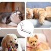 71KVvTKKu6L._SL1500_.jpg 1pcs Cat Chasing Toy,cat Toys for Persian,Laser Light,Interactive Toys for Persian, Durable Pet Toy