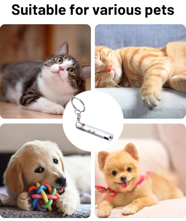 71KVvTKKu6L._SL1500_.jpg 1pcs Cat Chasing Toy,cat Toys for Persian,Laser Light,Interactive Toys for Persian, Durable Pet Toy