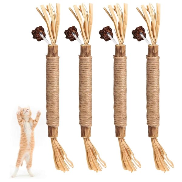 Cat Toys, 4Pcs Cat Chew Toy, Cat Playing Toys for Indoor, Stick for Cats with Sisal Rope and Gall Fruit, Natural Catnip Alternative