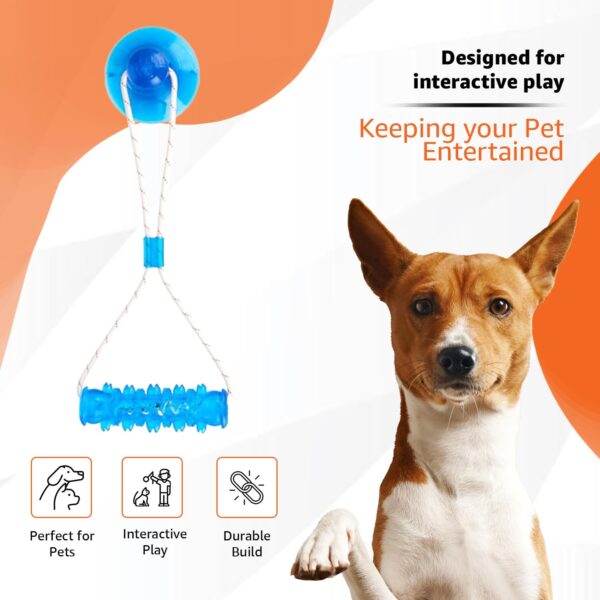 71LVYWAOpvL._SL1500_.jpg amazon basics Tug of War Interactive Dog Toy | Blue | Suction Cup | Chew Grip with Rope | Stimulating & Interactive Ball for Teeth Cleaning